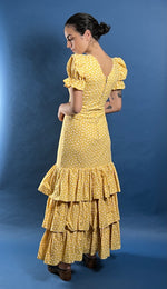 Load image into Gallery viewer, Vintage RARE 1970s Cottagecore Prairie Maxi Dress w/ Floral Pattern

